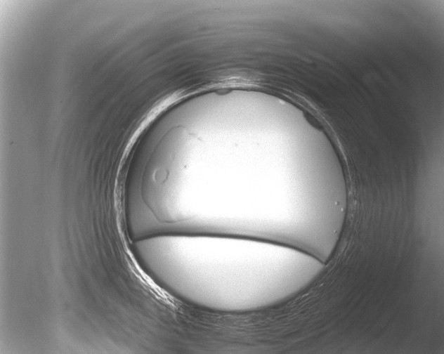 X0000086261243200703291054