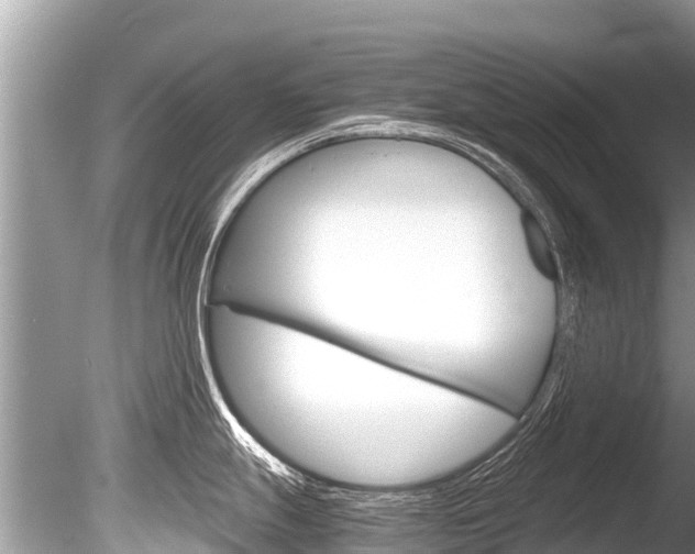 X0000086261247200703291054