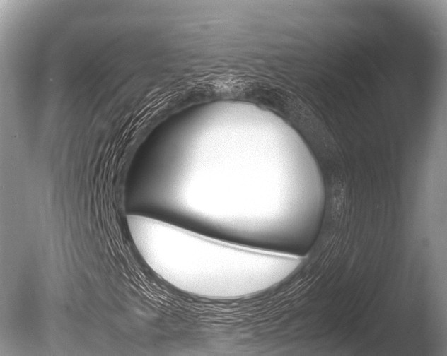 X0000086261249200703291053