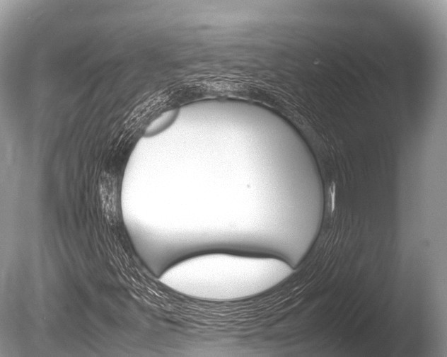 X0000086261251200703291053