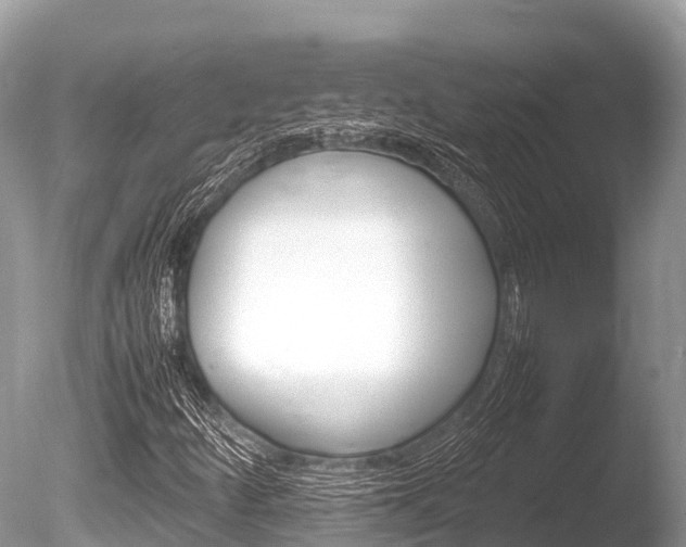 X0000086261252200703291053