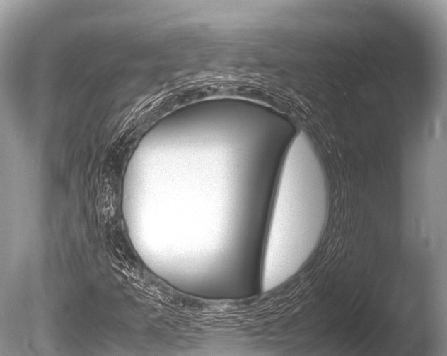 X0000086261253200703291053