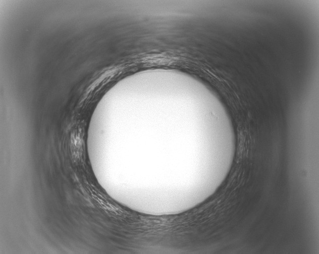 X0000086261254200703291053