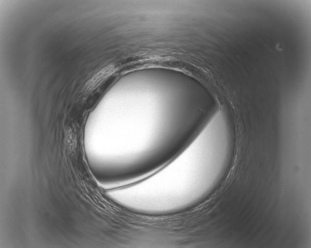 X0000086261257200703291053