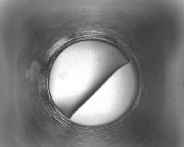 X0000086261259200703291053