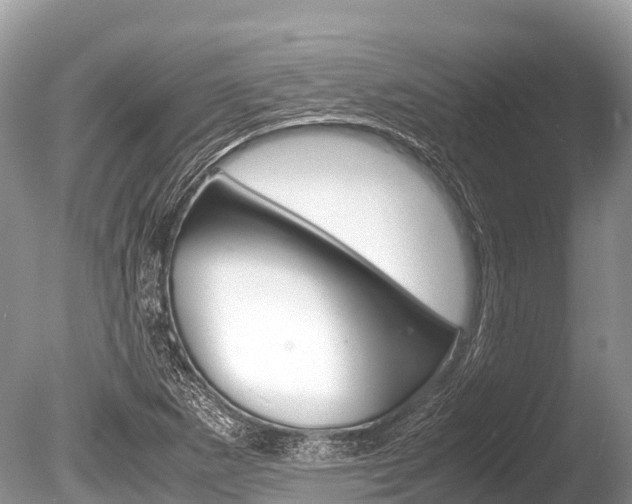 X0000086261265200703291053