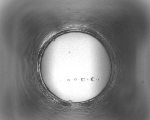 X0000086261267200703291053