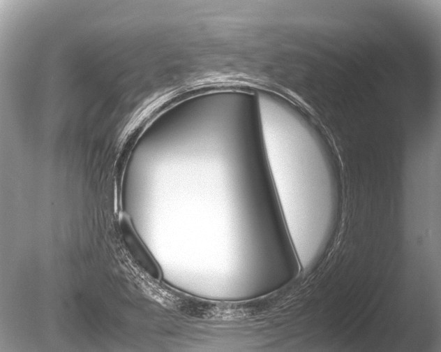 X0000086261269200703291053