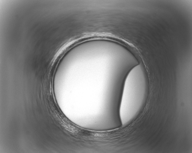 X0000086261271200703291053