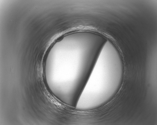 X0000086261280200703291052