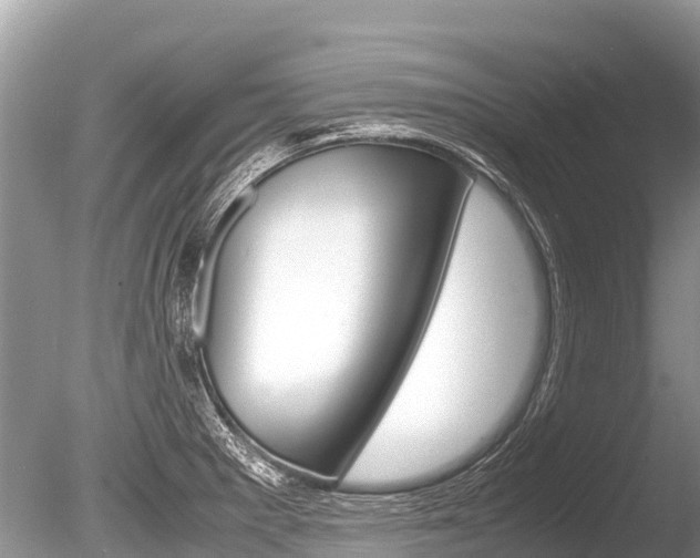 X0000086261281200703291052
