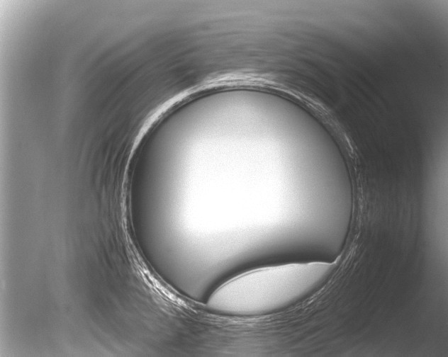 X0000086261288200703291052