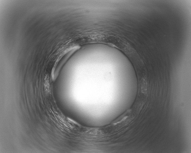 X0000086261298200703291051