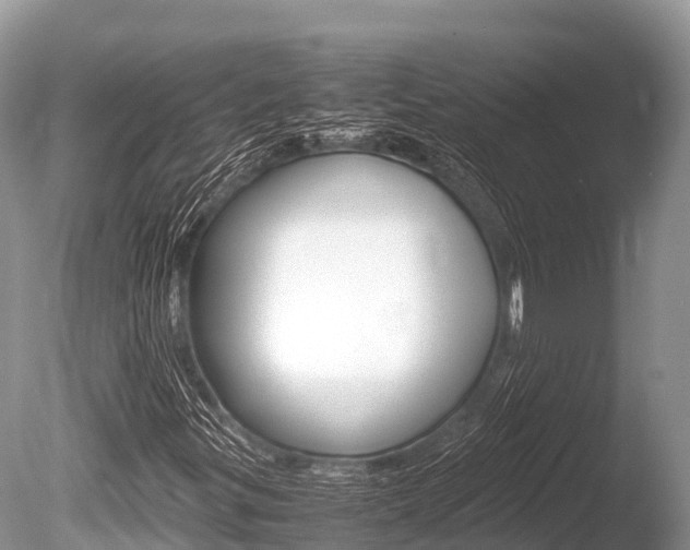 X0000086261299200703291051
