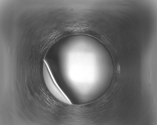 X0000086261300200703291051