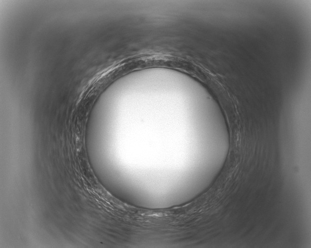 X0000086261303200703291051