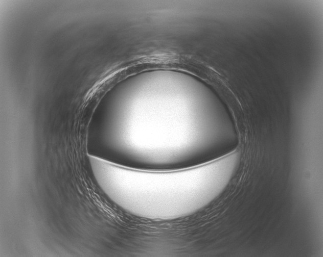 X0000086261304200703291051