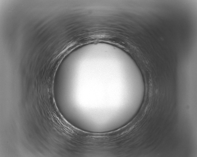 X0000086261305200703291051