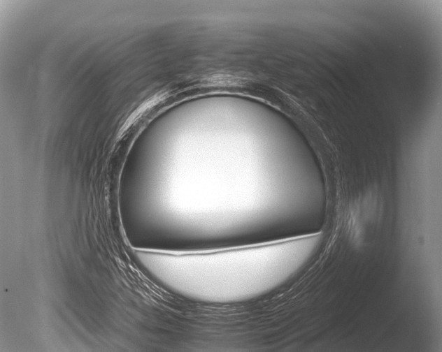 X0000086261307200703291052