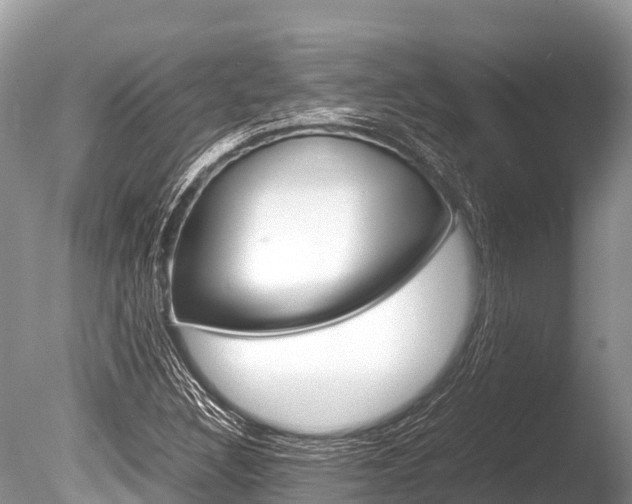X0000086261308200703291052