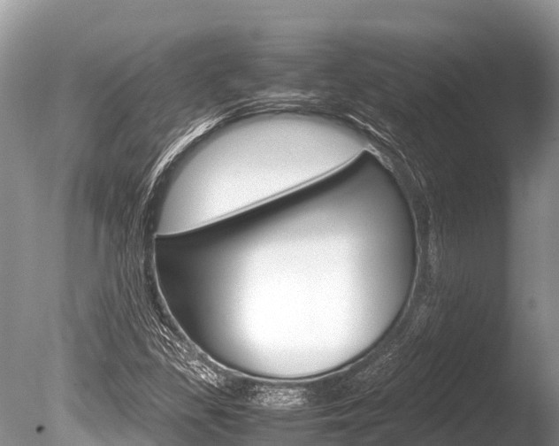 X0000086261309200703291052