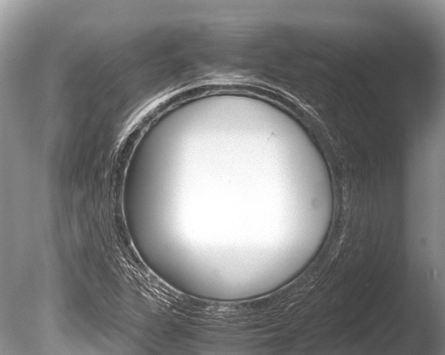 X0000086261311200703291052