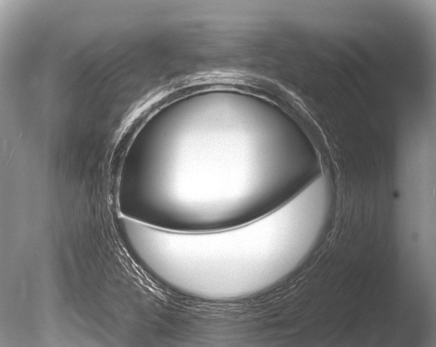 X0000086261312200703291052