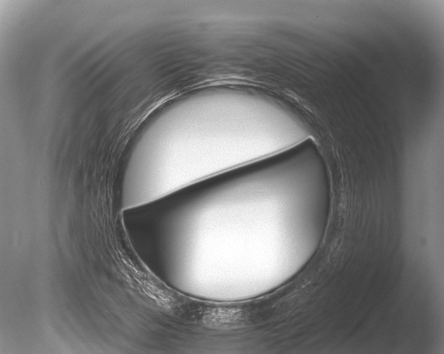 X0000086261313200703291052