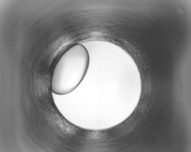 X0000086261314200703291052