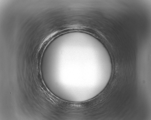 X0000086261315200703291052
