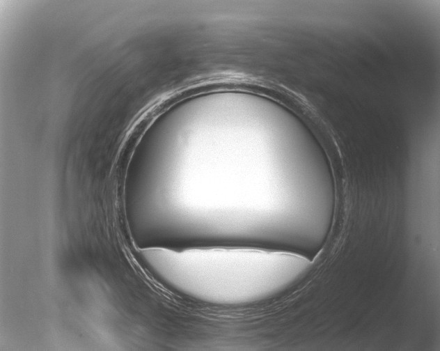 X0000086261318200703291052