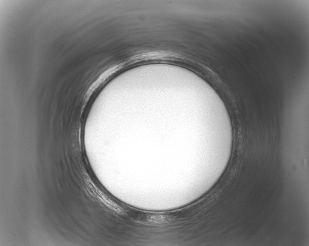 X0000086261322200703291052