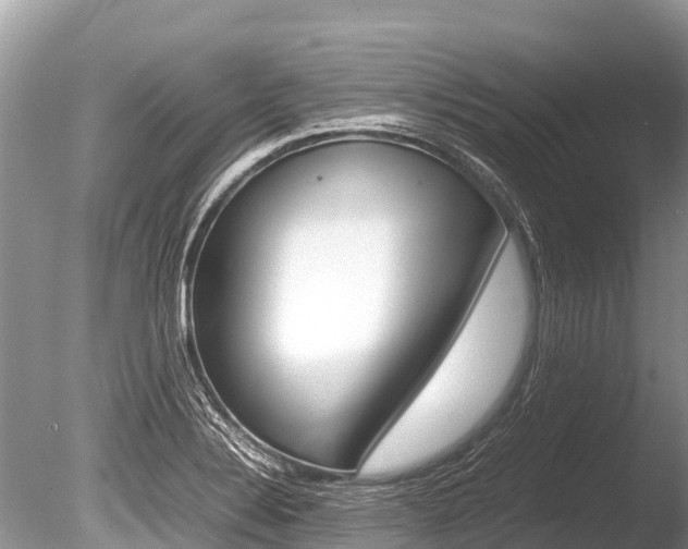 X0000086261324200703291052