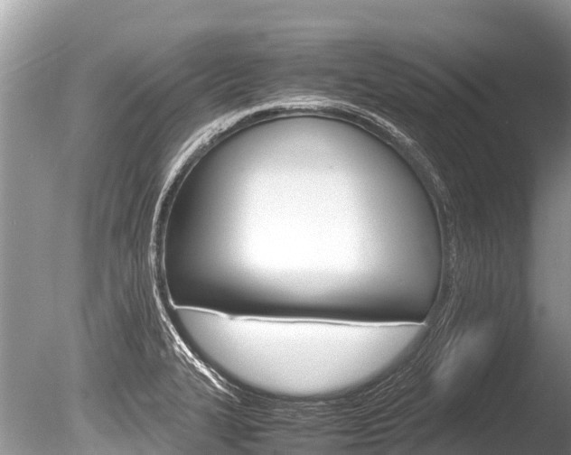 X0000086261327200703291052