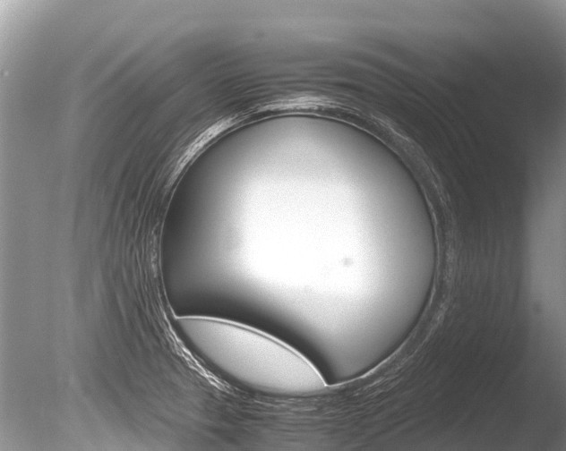 X0000086261329200703291052