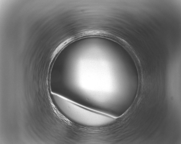 X0000086261330200703291052