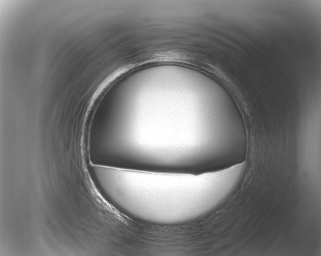 X0000086261331200703291052