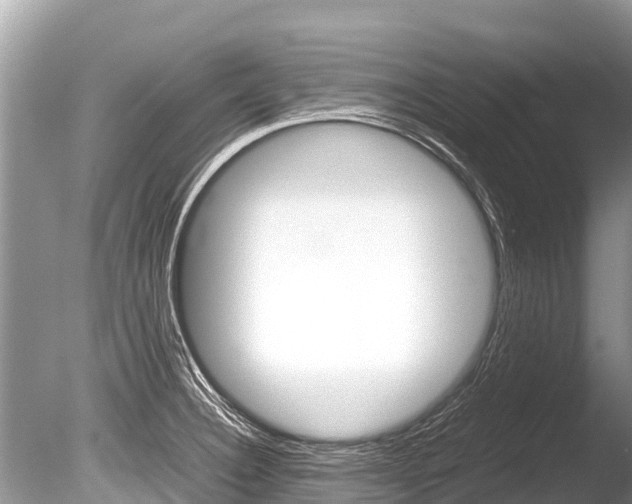 X0000086261332200703291052