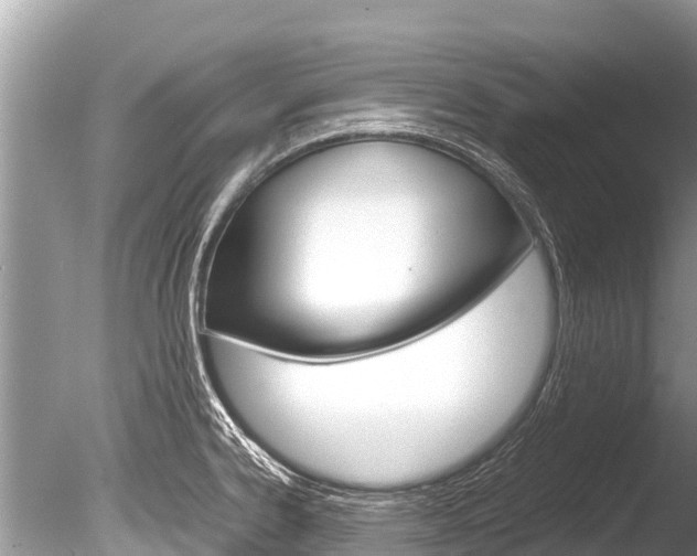 X0000086261334200703291052