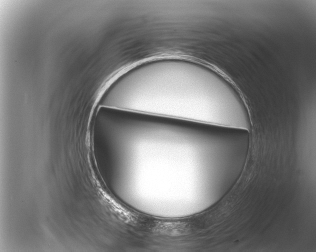 X0000086261335200703291052