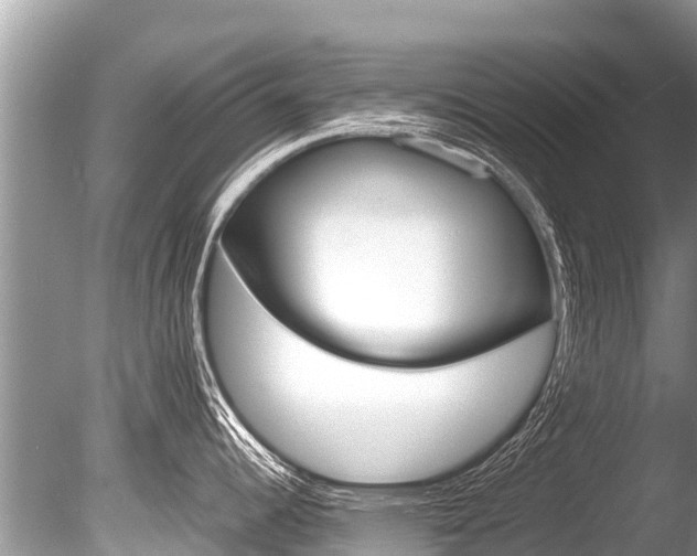 X0000086261344200703291052