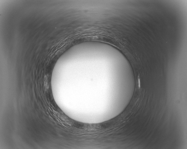 X0000086261347200703291051