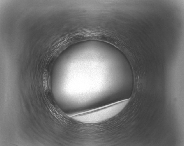 X0000086261348200703291051