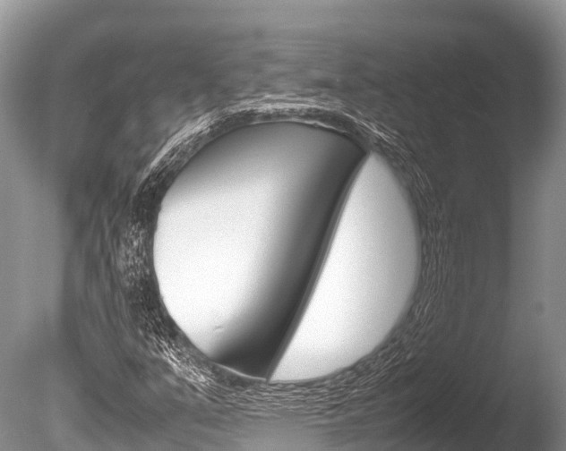 X0000086261351200703291051