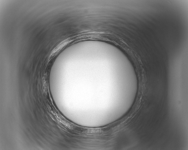 X0000086261354200703291051