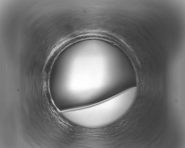 X0000086261360200703291051