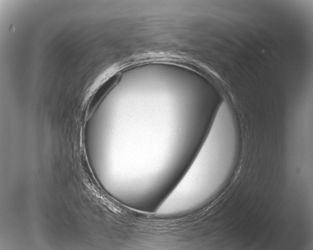 X0000086261365200703291051