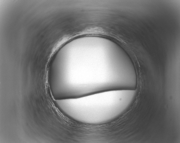 X0000086261366200703291051