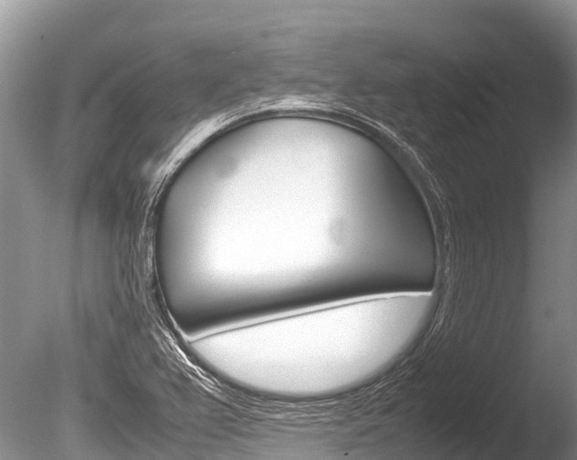 X0000086261367200703291051
