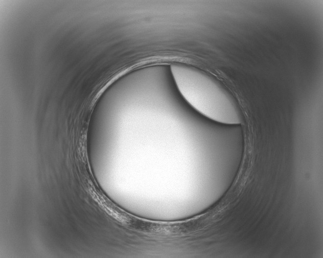 X0000086261369200703291051